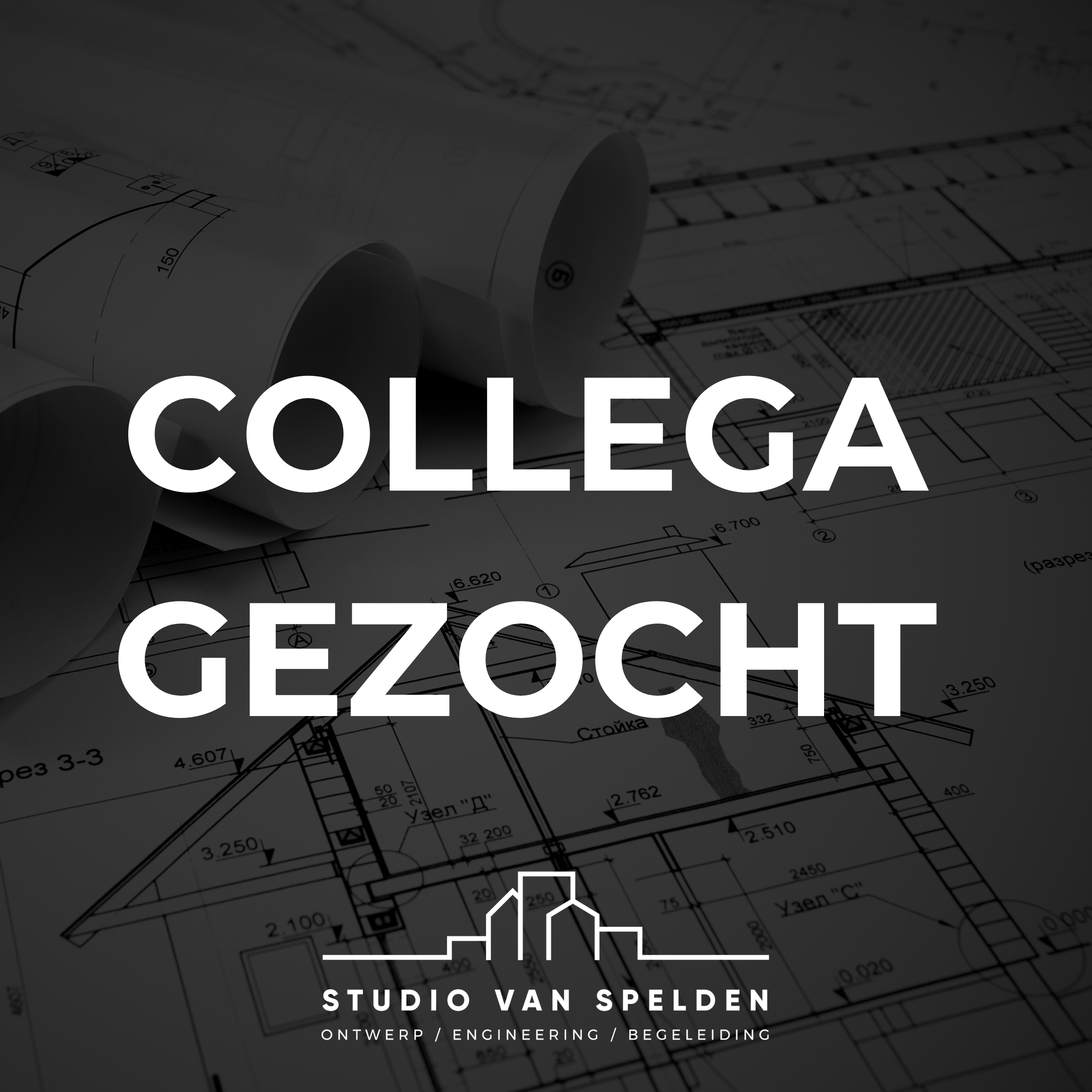 Collega gezocht